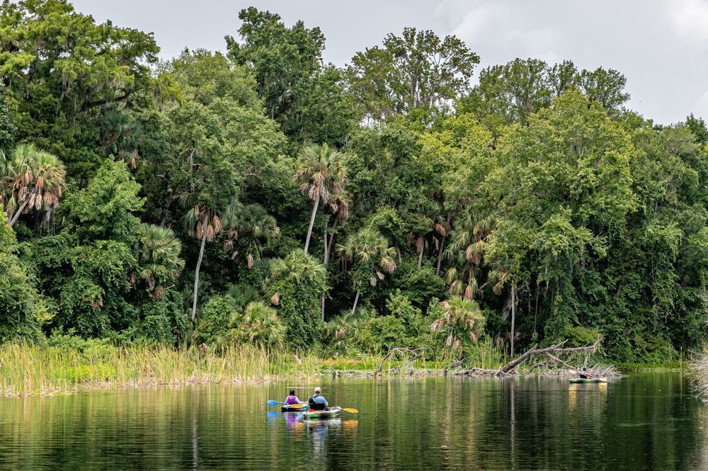 A Day To Explore Photography Art | kramkranphoto