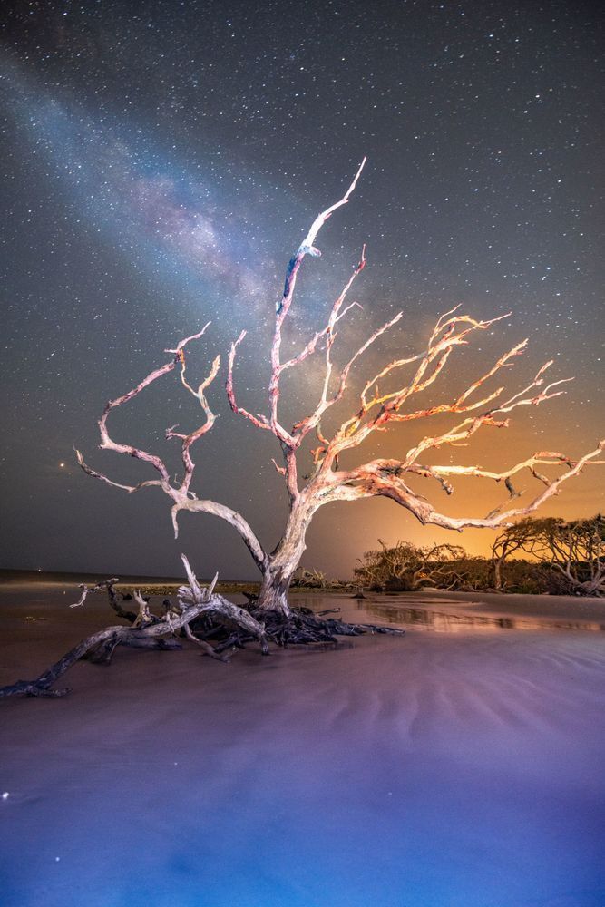 Jekyll Journey Photography Art | kramkranphoto