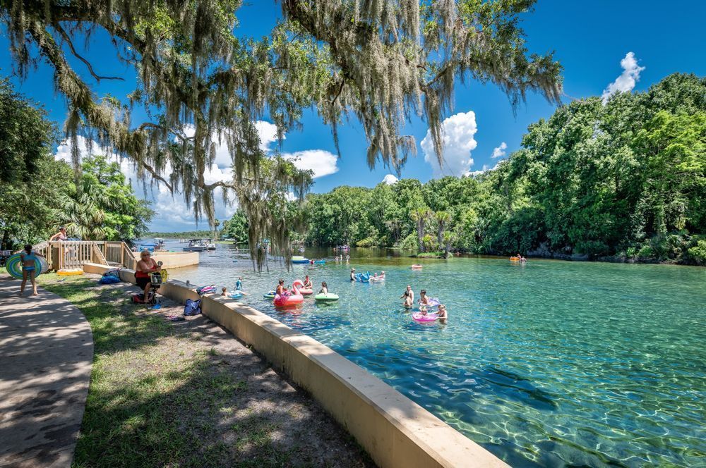 Salt Springs Photography Art | kramkranphoto