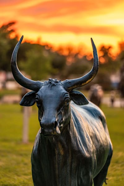 Okeechobee Main Street 3 30 2024 8911 Photography Art | kramkranphoto