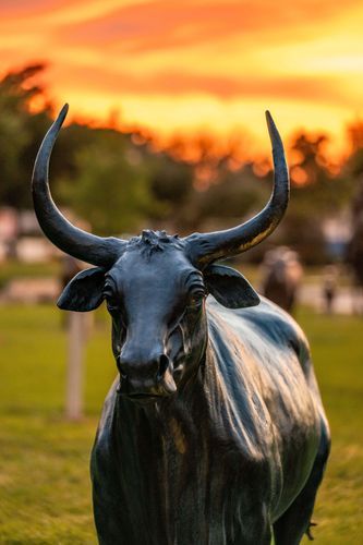 Mdawmdawmdawmdaw7qgraepd6cacehr zcfbfywxu2fyveayeunrgwctqqqltnerwweter6yomfiojy24adow ljj7f22f2vd2s3k0fn 38ezqodftc2xeuhdjufahdziomokxodj3hs jg da6ji5eudq olwagpj5emn5nf3ixbdv alipwdtc48vnjdb3c6tjwdhpvvezru8yxp5xkkhocvo16r2ivfrzz2ic3ktoo lmeaqk9uuhpafh6sz0wihuxvwkfo0ibuivrtzbud9txwhhtnomg9s9afazp7p vu09u7vf6xrji5 m6mfhpkmmwl08l0kuvtcu t6lodal kvj1uos