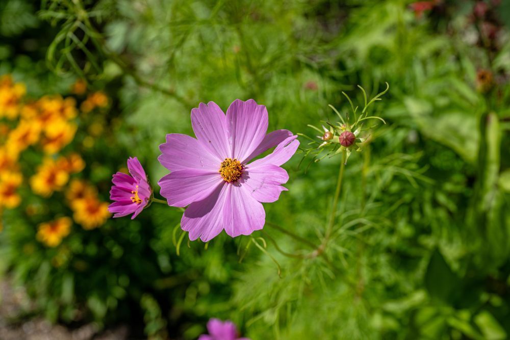 Labelle Main Street 3 30 2024 8693 Photography Art | kramkranphoto