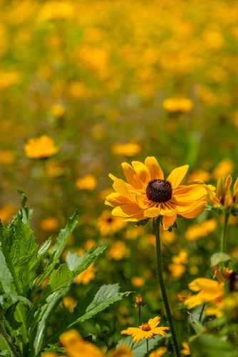 Mdawmdawmdawmdaw7qgraepd6cacehr zcfbfywxu2fyveayeunrgwctqqqltnerwweter6yomfiojy24adow ljj7f22f2vd2s3k0fn 38ezqodftc2xeuhdjufahdziomokxodj3hs jg da6ji5eudq olwagpj5emn5pyw czsromlklyylk78nugdnaqyd7 o0ocrd7bqx1xz57nbrnhgxit h e kdkdjsm  zlodlb15jqlm j i94dhghmke3 8xezeqgrj4lnoqxcnpd3mm7zqgnnk5aeyzo7z7s1frxa0cvk0cazzttoaftfuxh qlblyrp6iqcyxhpkr8bohrat5gfgwiw c6fuy