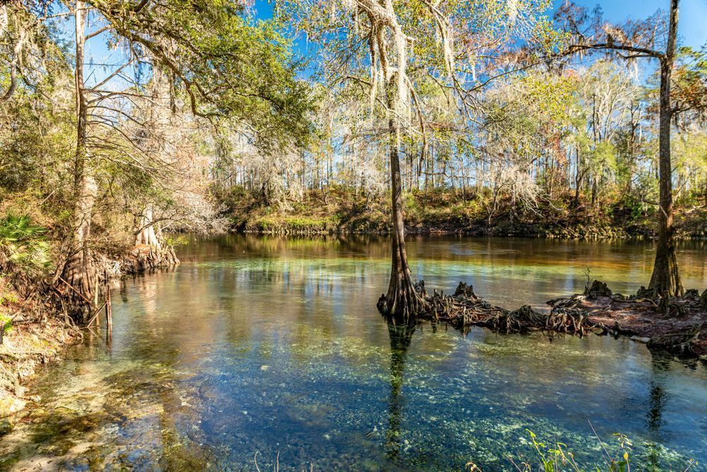 Madison Blue Photography Art | kramkranphoto