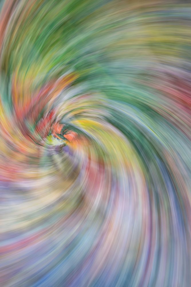 Wynwood Whirlpool Photography Art | kramkranphoto