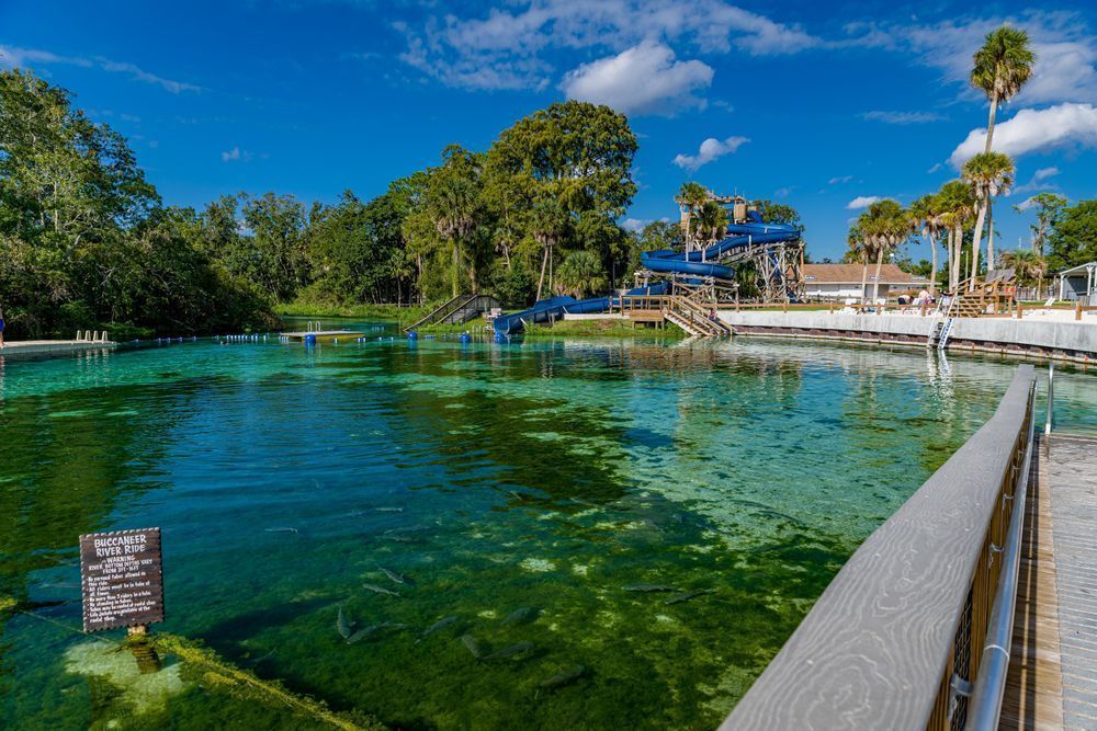 Weeki Wachee Springs Photography Art | kramkranphoto