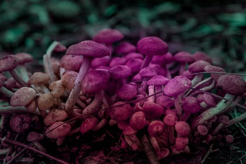 Mdawmdawmdawmdaw7qgraepd6cacehr zcfbfywxu2fyveayeunrgwctqqqltnerwweter6yomfiojy24adow ljj7f22f2vd2s3k0fn 38ezqodftc2xeuhdjufahdziomokxodj3hs jg da6ji5eudq olwagpj5emn5qdxscbnzmp26adr9t7dbnicfgfadiyyobdal7k4xe3owzzo0axe0z76sucuzzzgjkmf6peakkev9mov 6koegu5kpvj7bibfyy5atgbnzmtwuu9lvqi2otiw lz qubnhdeu0tkwkgpti9wynzigo5menvkwjwkfjbv3x6f8ca8qqc3vfynls2znr4xrqg6pj3m1z5cu