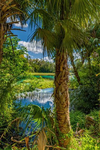 Mdawmdawmdawmdaw7qgraepd6cacehr zcfbfywxu2fyveayeunrgwctqqqltnerwweter6yomfiojy24adow ljj7f22f2vd2s3k0fn 38ezqodftc2xeuhdjufahdziomokxodj3hs jg da6ji5eudq olwagpj5emn5qdxscbnzmp26adr9t7dbnicfgfadiyyobdal7k4xe3owzzo0axe0z76sucuzzzmbkmvnuyohhev9mov 6koegupgpvj7bibfyy5atgbnzmtwuu9lvqi2otiw lz qubnhdeu0tkwkgpti9wynzigo5menvkwjwkfjbv3x6f8ca8qqc3vfyp7d9dns oiq6ra9izhjbj4