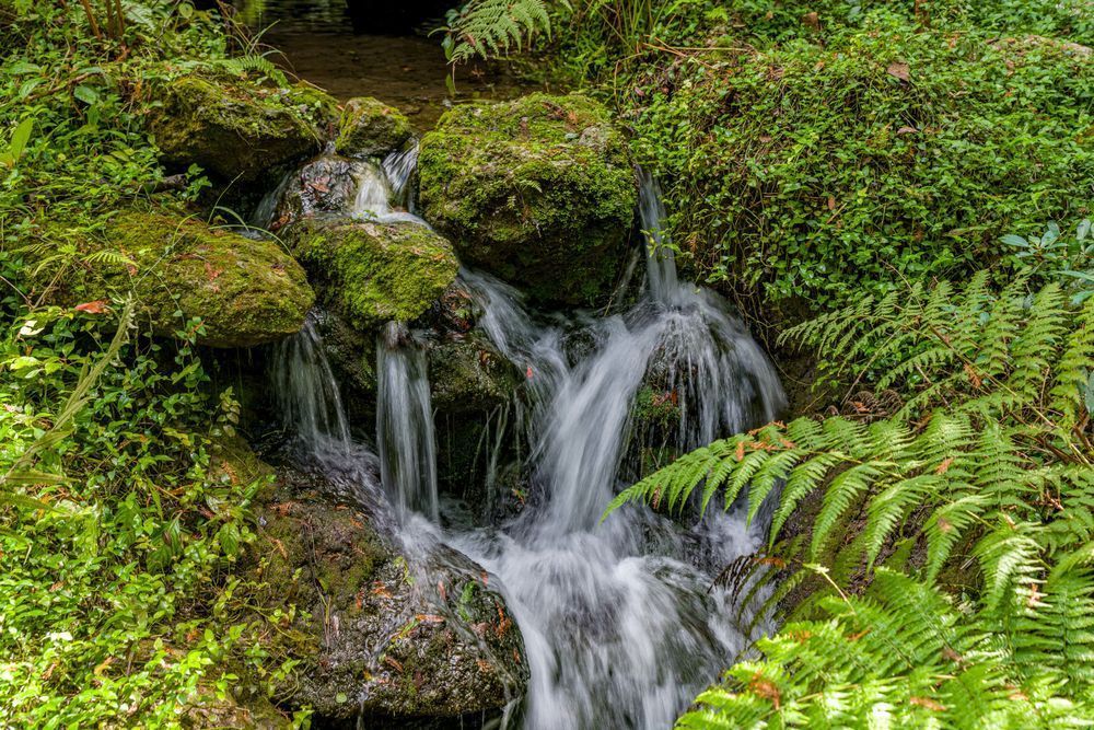 Rainbow Springs Waterfalls Photography Art | kramkranphoto