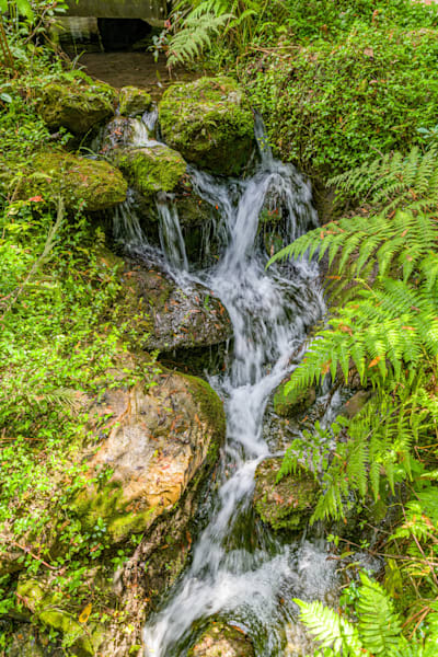 Rainbow Springs Waterfalls Photography Art | kramkranphoto