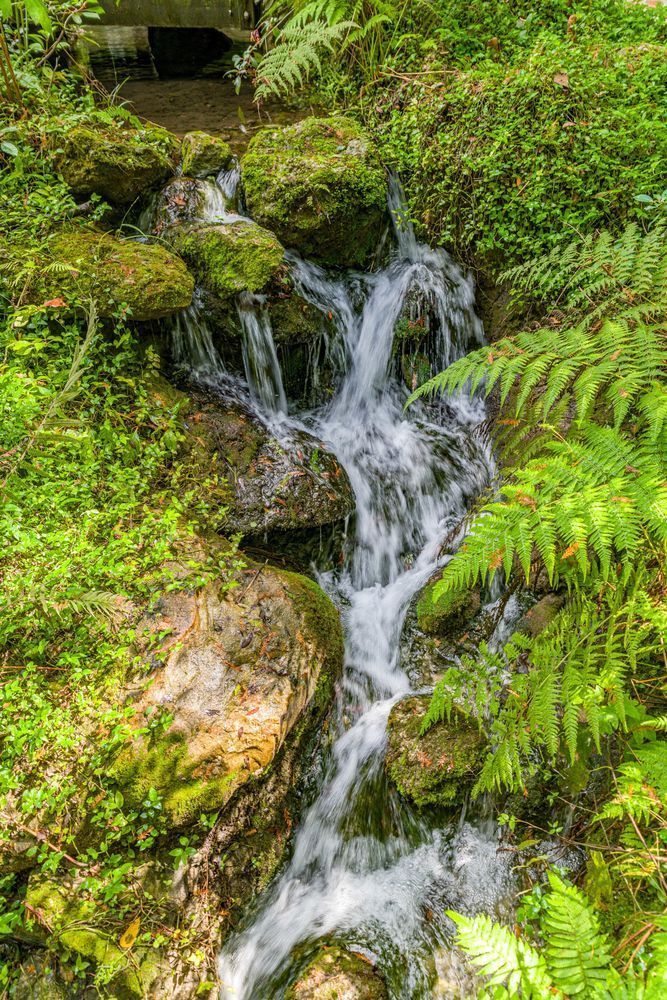 Rainbow Springs Waterfalls Photography Art | kramkranphoto