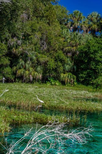 Mdawmdawmdawmdaw7qgraepd6cacehr zcfbfywxu2fyveayeunrgwctqqqltnerwweter6yomfiojy24adow ljj7f22f2vd2s3k0fn 38ezqodftc2xeuhdjufahdziomokxodj3hs jg da6ji5eudq olwagpj5emn5qdxscbnzmp26adr9t7dbnrrtmzlh85pnnvpgqregewod8n7cvxllztvs9vbssizvumpc d7i8ub1yqdl2pbzh5nglbmzkwva5y8bgvahwnmcrro8gghpnudqsh9m9sl4ryu8mp3g0z1jjct4rfr0jbbcmdylc1w