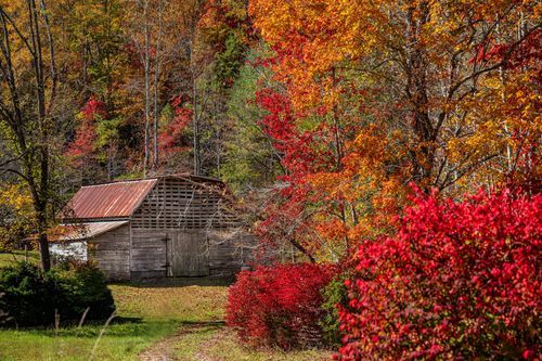 Mdawmdawmdawmdaw7qgraepd6cacehr zcfbfywxu2fyveayeunrgwctqqqltnerwweter6yomfiojy24adow ljj7f22f2vd2s3k0fn 38ezqodftc2xeuhdjufahdziomokxodj3hs jg da6ji5eudq olwagpj5emn5qe3 qz93iflsgaxnixmddeylqzktiziqdazj grt1vnin3fgxt1iwxzgmvbknp2ilx6 rlupjdf1xv1q ql9775tksggxnaroind9r1im282jvy8qdzep9xgwink7tx1lprb4qqdzkvriufykccr1rtlg6rbnsqfjglha v9ug8svczaulzrspfvoizv0vwsvkmhg5atb8gcljpj3fyhbk3gp