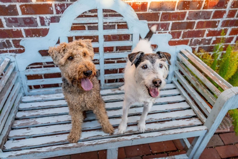 Riggs Family Retouches  2 Photography Art | kramkranphoto