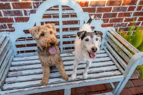 Mdawmdawmdawmdaw7qgraepd6cacehr zcfbfywxu2fyveayeunrgwctqqqltnerwweter6yomfiojy24adow ljj7f22f2vd2s3k0fn 38ezqodftc2xeuhdjufahdziomokxodj3hs jg da6ji5eudq olwagpj5emn5qfxqvfez3avcdaw9i mdmgdfmfqtks8zqorbqtkdcl5x4nqplhw5oqex cb yn3exyomtyr gwaei wj5drp9 io9zzweyo8 z8b2vax8mm6neieersau834rzif8ekw9dah vlehu7vf6xqyxjw2kur3wx0bfy7ifnzcgv6j