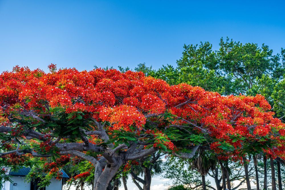 Stuart Main Street 5 21 2024 7044 Photography Art | kramkranphoto