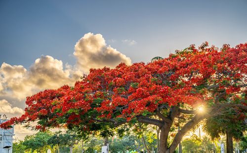 Mdawmdawmdawmdaw7qgraepd6cacehr zcfbfywxu2fyveayeunrgwctqqqltnerwweter6yomfiojy24adow ljj7f22f2vd2s3k0fn 38ezqodftc2xeuhdjufahdziomokxodj3hs jg da6ji5eudq olwagpj5emn5rygitfmfolvydaslu tfdejbai mlr8zqvfwqwegbw4iwwk5nqfsmtef fuz0wwsl3kxxaag0hejy5hvscaz15npqxtrpxpmjndgxduj2h8ijejceqsqq wjhwp hrxv2p6s04bb5qanire0bdydttoaftarofskr z3vpmdguolg yfkhx8