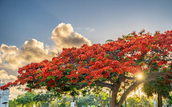 Stuart Main Street 5 21 2024 7111 Photography Art | kramkranphoto