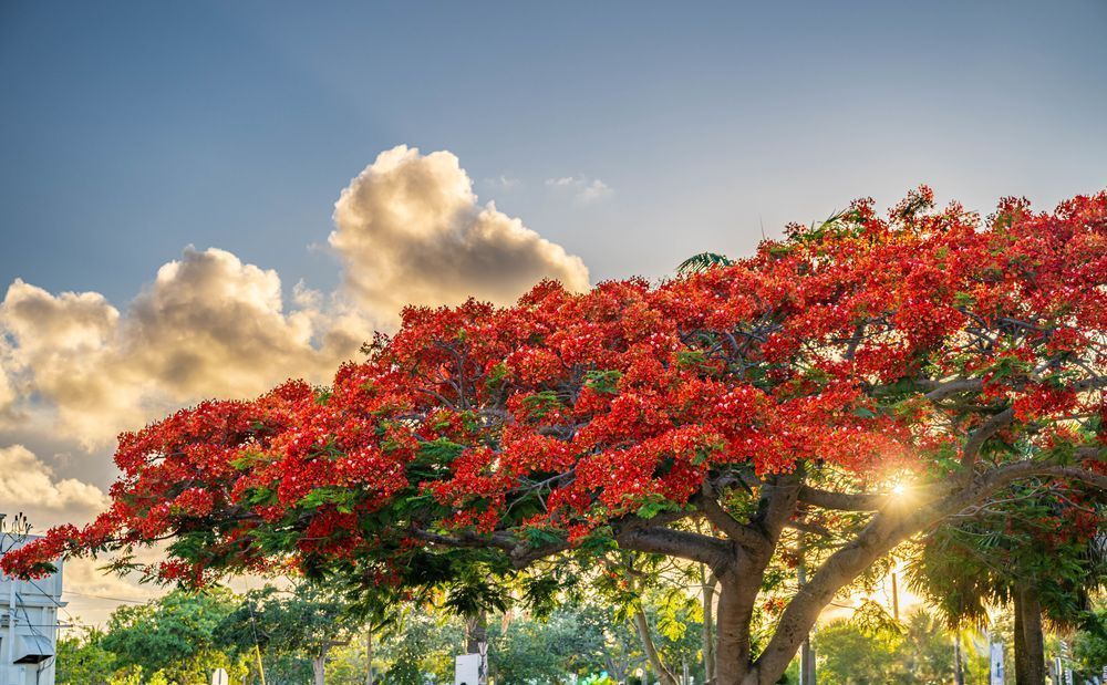 Stuart Main Street 5 21 2024 7111 Photography Art | kramkranphoto