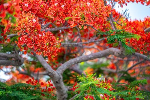 Mdawmdawmdawmdaw7qgraepd6cacehr zcfbfywxu2fyveayeunrgwctqqqltnerwweter6yomfiojy24adow ljj7f22f2vd2s3k0fn 38ezqodftc2xeuhdjufahdziomokxodj3hs jg da6ji5eudq olwagpj5emn5rygitfmfolvydaslu tfdejbai mlr8zqvfwqwesex4yww glrwkrtef fuz0wwsl3k7xaag0hejy5hvscaz15npqxtrpxpmjndgxduj2h8ijejceqsqq wjhwp hrxv2p6s04bb5qanire0bdydttoaftarofeezqqvw11cq2fw tupj0jm