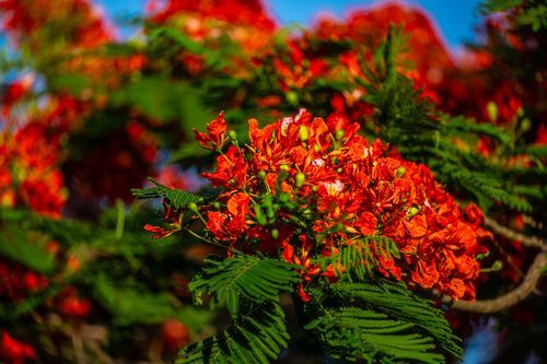 Mdawmdawmdawmdaw7qgraepd6cacehr zcfbfywxu2fyveayeunrgwctqqqltnerwweter6yomfiojy24adow ljj7f22f2vd2s3k0fn 38ezqodftc2xeuhdjufahdziomokxodj3hs jg da6ji5eudq olwagpj5emn5rygitfmfolvydaslu tfdejbai mlr8zqvfwqwesexysw0 qnfleztef fuz0wwsl3ajxaag0hejy5hvscaz15npqxtrpxpmjndgxduj2h8ijejceqsqq wjhwp hrxv2p6s04bb5qanire0bdydttoaftarofxucbh4jj y6sh6ih6wp9zm