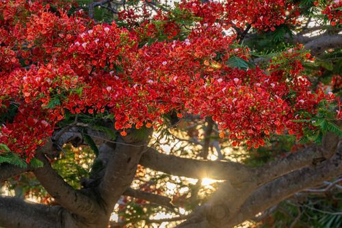 Mdawmdawmdawmdaw7qgraepd6cacehr zcfbfywxu2fyveayeunrgwctqqqltnerwweter6yomfiojy24adow ljj7f22f2vd2s3k0fn 38ezqodftc2xeuhdjufahdziomokxodj3hs jg da6ji5eudq olwagpj5emn5rygitfmfolvydaslu tfdejbai mlr8zqvfwqwesey4ywyogix184tef fuz0wwsl3kvxaag0hejy5hvscaz15npqxtrpxpmjndgxduj2h8ijejceqsqq wjhwp hrxv2p6s04bb5qanire0bdydttoaftaroff6dkzxsd9smiwea4xbeknq