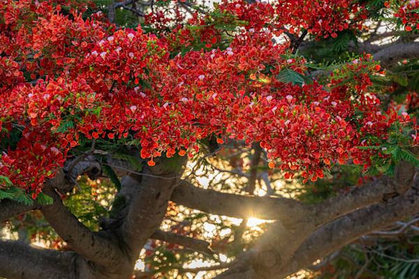 Stuart Main Street 5 21 2024 4495 Photography Art | kramkranphoto