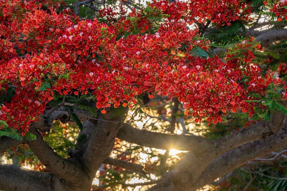 Stuart Main Street 5 21 2024 4495 Photography Art | kramkranphoto