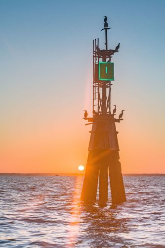 Mdawmdawmdawmdaw7qgraepd6cacehr zcfbfywxu2fyveayeunrgwctqqqltnerwweter6yomfiojy24adow ljj7f22f2vd2s3k0fn 38ezqodftc2xeuhdjufahdziomokxodj3hs jg da6ji5eudq olwagpj5emn5ryhibynvwff6cyhni7stbkhaolv4vqbqjhlbke7yfw4v5kaliggxhrvijv7lg1hfpmpyxcle8tamb5gdicayxsfn8hi3uxo1ylcaghw18gyxvemvzrcsv4drf2435dl5mprtisgdzrl9apnky4n4wfk rmmhg2iiilkhllg