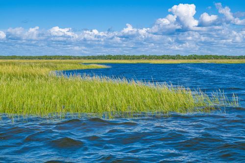 Mdawmdawmdawmdaw7qgraepd6cacehr zcfbfywxu2fyveayeunrgwctqqqltnerwweter6yomfiojy24adow ljj7f22f2vd2s3k0fn 38ezqodftc2xeuhdjufahdziomokxodj3hs jg da6ji5eudq olwagpj5emn5ryhibynvwff6cyhni7stbkhaolvomprqidarqtb4fw4v4mkhhgglkrvijv7lg1hfpmpyxcle8tamb5gdicayxsfn8hi3uxo1ylcaghw18gyxvemvzrcsv4drf2435dl5mprtisgdzrl9apnky8d4yoqer8ov269fexfb0mw