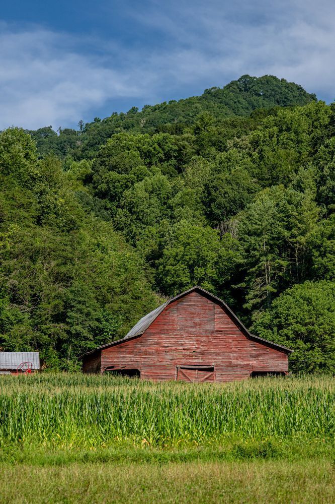 Summer Harvest Photography Art | kramkranphoto