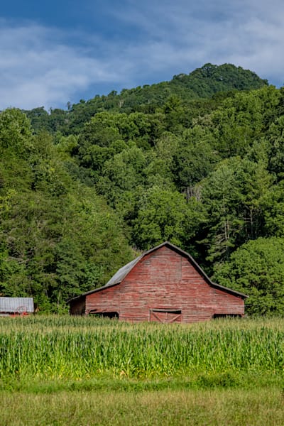 Summer Harvest Photography Art | kramkranphoto
