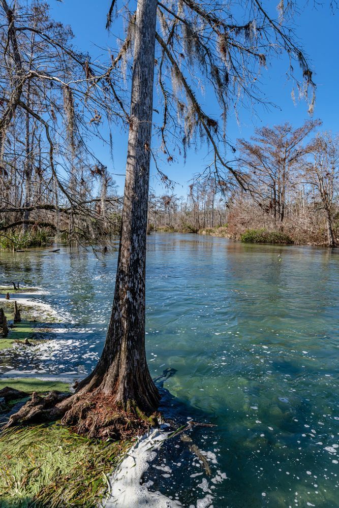 Spring Creek Photography Art | kramkranphoto