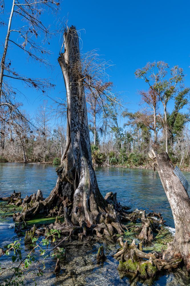 Spring Creek Photography Art | kramkranphoto