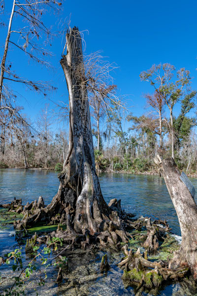 Spring Creek Photography Art | kramkranphoto