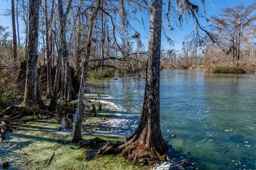 Mdawmdawmdawmdaw7qgraepd6cacehr zcfbfywxu2fyveayeunrgwctqqqltnerwweter6yomfiojy24adow ljj7f22f2vd2s3k0fn 38ezqodftc2xeuhdjufahdziomokxodj3hs jg da6ji5eudq olwagpj5emn5rzg byntoi0 pyh1iufrvgtn1ykw4r91wvpcqrosbwz0j2f5dahwl6lenvlotij5anvswbalxbdubsar ckuxsyprvspp3798nyophwd9gyxdb50mawgk xirhp zf0whkojrrgemaywl83r9uyxolslala