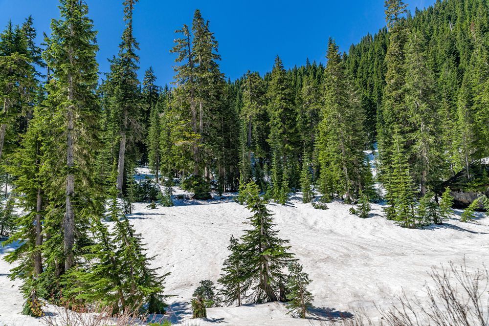 Seattle  9618 Photography Art | kramkranphoto