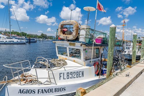 Mdawmdawmdawmdaw7qgraepd6cacehr zcfbfywxu2fyveayeunrgwctqqqltnerwweter6yomfiojy24adow ljj7f22f2vd2s3k0fn 38ezqodftc2xeuhdjufahdziomokxodj3hs jg da6ji5eudq olwagpj5emn5rdxowb8hokvoocgvj mzdbgk3ifchwz1bvfp0tfabxij4mkflgwditly5qpfu2idji oszb6huw8o wbjbpcp0nmlxzzj279qny4lgwlh14vbwshvsiujtixq3o3laat4m6t  b98qb8xhlnofxjvl skxdrdanoyhhew