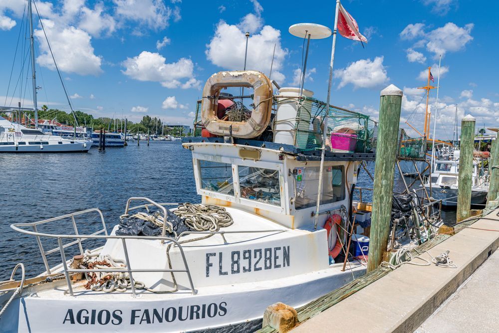 Tarpon Time Photography Art | kramkranphoto