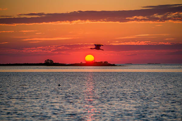 Gulf Coast Vibes Photography Art | kramkranphoto