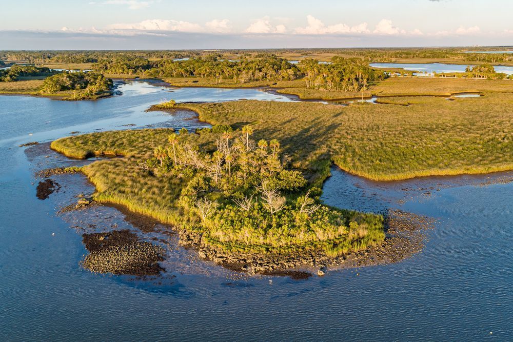 Way Down Yonder On The Withlacoochee Photography Art | kramkranphoto