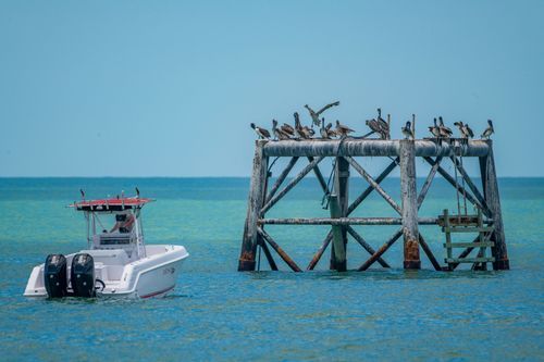 Mdawmdawmdawmdaw7qgraepd6cacehr zcfbfywxu2fyveayeunrgwctqqqltnerwweter6yomfiojy24adow ljj7f22f2vd2s3k0fn 38ezqodftc2xeuhdjufahdziomokxodj3hs jg da6ji5eudq olwagpj5emn5rdxowb8hokvoocgvj mzdbgkwl ygwympdqh6afabxij4mkflgazjtly5qpfu2idji oszb6huw8o wbjbpcp0nmlxzzj279qny4lgwlh14vbwshvsiujtixq3o3laat4m6t  b98qb8xhll35arnqzouu0rb7jt8 hw8