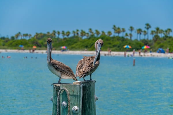 De Soto Dreamin Photography Art | kramkranphoto