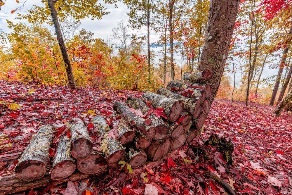 Mountain Supplies Photography Art | kramkranphoto