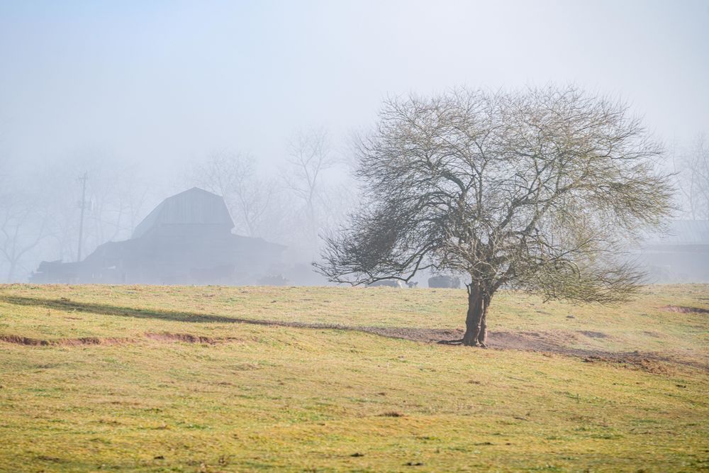 The Great Beyond Photography Art | kramkranphoto