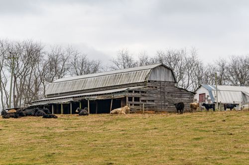 Mdawmdawmdawmdaw7qgraepd6cacehr zcfbfywxu2fyveayeunrgwctqqqltnerwweter6yomfiojy24adow ljj7f22f2vd2s3k0fn 38ezqodftc2xeuhdjufahdziomokxodj3hs jg da6ji5eudq olwagpj5emn5re2igztbjdmkpaant tfbbc1hc5e6wd9sorl4ekvikjx4n6hphglkqoh8cb yn3exyomtyr gwaei wj5drp9 io9zzweyo8 z8b2vax8mm6neieersau834rzif8ekw9dah vlehu7vf6xqyxju jr5zk8e5aewuli4sgszv