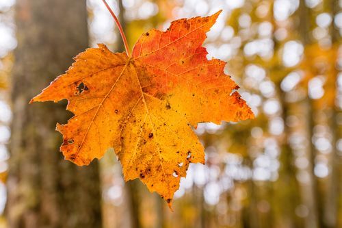 Mdawmdawmdawmdaw7qgraepd6cacehr zcfbfywxu2fyveayeunrgwctqqqltnerwweter6yomfiojy24adow ljj7f22f2vd2s3k0fn 38ezqodftc2xeuhdjufahdziomokxodj3hs jg da6ji5eudq olwagpj5emn5re2igztbjdmkpaant tfbbc1hc5e6wdi9caboq69l3yj mklpgqtlqe ntawl2n8znu  bak1urwx8x3kcltgqzjcr2zf2figndhuggl4nnpbho9uscqa gjh1ij5elazilzyrk1rs7pa61k4fcsvwtu d qi3uul bgmeru