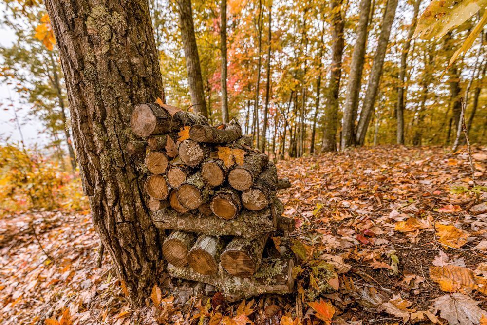 Fall Firewood Photography Art | kramkranphoto