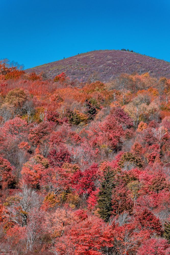 Blue Ridge Mountains Graveyard Fields Photography Art | kramkranphoto
