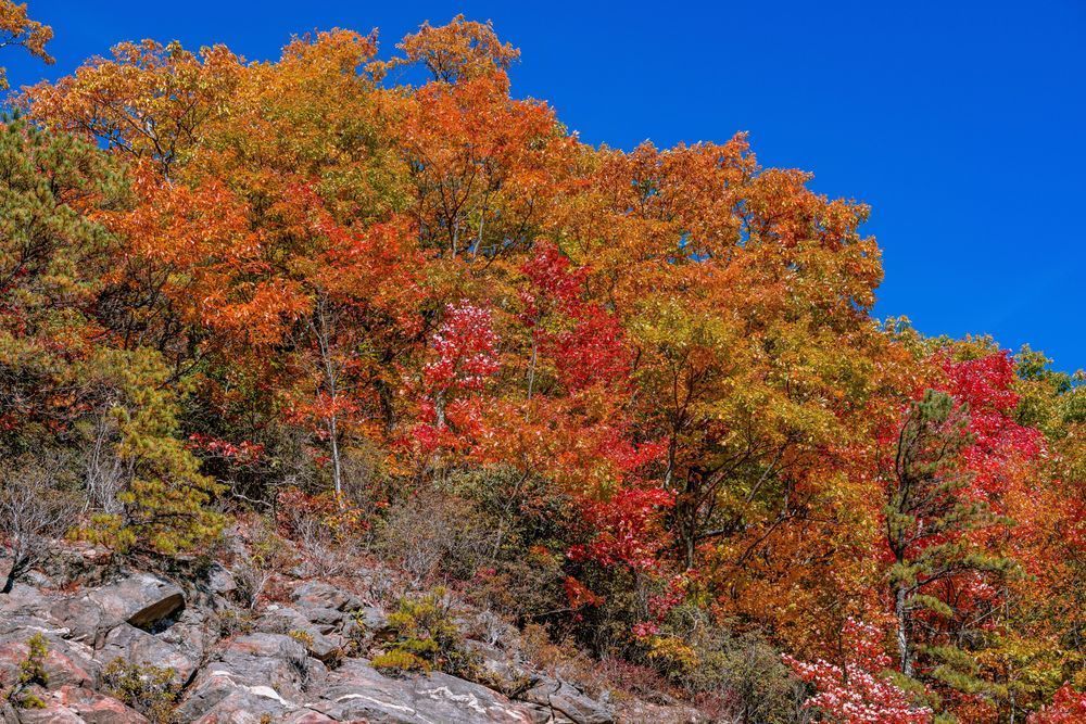 Red And Blue Photography Art | kramkranphoto